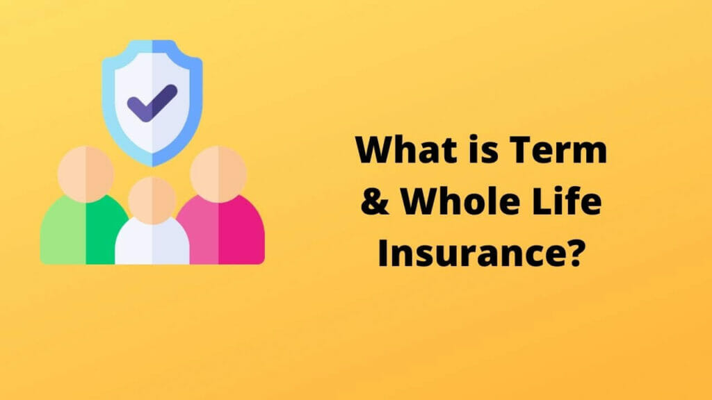 What is Term & Whole Life Insurance